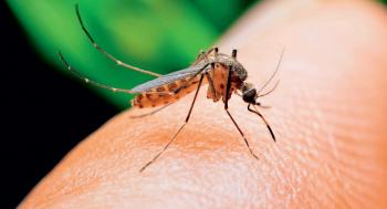 Δ. Χατζηβρέττας : «Φαίνεται πως οδεύουμε προς ύφεση της εξάπλωσης του ιού του Δυτικού Νείλου»