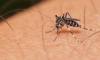 Ομιλίες με θέμα «Πρόληψη και προστασία από τα κουνούπια του ιού του Δυτικού Νείλου» από το K.Κ.Π. & Α.  Δ. Νάουσας