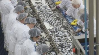 Έγκριση 42 έργων μεταποίησης προϊόντων αλιείας ύψους 40,5 εκατ. ευρώ