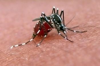 Ψεκασμός σήμερα στην Τ.Κ. Κεφαλοχωρίου για την καταπολέμηση των ακμαίων κουνουπιών