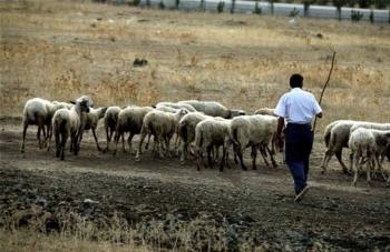 Αγρότες και κτηνοτρόφοι χάνουν την εξισωτική αποζημίωση λόγω της επαναχάραξης των μειονεκτικών και ορεινών περιοχών