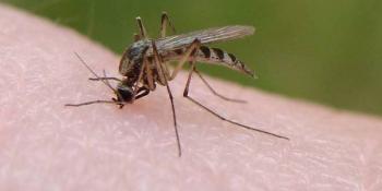 Παρέμβαση ΚΚΕ στη Βουλή για την αποτελεσματικότητα της καταπολέμησης κουνουπιών στην ΠΚΜ