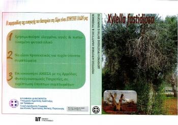 Εύρεση του επιβλαβούς οργανισμού καραντίνας Xylella fastidiosa σε φυτωριακό υλικό προέλευσης Ισπανίας 