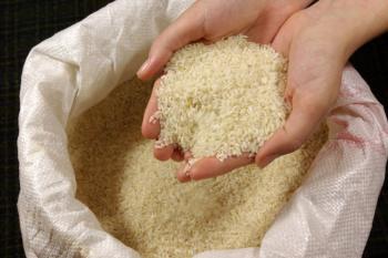 Αποτελέσματα ελέγχων για υπολείμματα φυτοπροστατευτικών προϊόντων σε εισαγόμενα φορτία ρυζιού