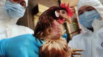 Δ/νση Κτηνιατρικής της ΠΚΜ : Επείγουσα ενημέρωση πτηνοτρόφων και κατόχων οικόσιτων πουλερικών για τη γρίπη των πτηνών