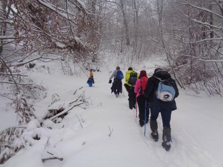 ΒΕΡΜΙΟ, ΚΟΥΜΑΡΙΑ – 5 ΠΥΡΓΟΙ  1750 μ., Πορεία στο χιόνι, Κυριακή  24 Φεβρουαρίου 2019, με τους Ορειβάτες Βέροιας