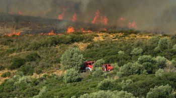 Δήμος Βέροιας: Υψηλός κίνδυνος εκδήλωσης δασικής πυρκαγιάς στην περιοχή μας σήμερα