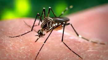 Π.Ε. Ημαθίας : Μέτρα για την προστασία από τα κουνούπια και τις ασθένειες των οποίων είναι φορείς 