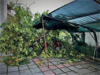 Ενημέρωση από το Δήμο Αλεξάνδρειας για τις προσπάθειες αποκατάστασης των ζημιών από την προχθεσινή βροχόπτωση
