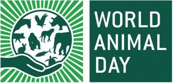 Παγκόσμια ημέρα ζώων η 4η Οκτωβρίου, ανακοίνωση του Δήμου Βέροιας 