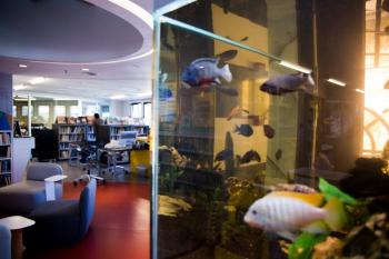 Ρεκόρ δανεισμών στη Δημόσια Βιβλιοθήκη της Βέροιας