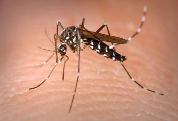 Ανησυχία για τον ιό του Δυτικού Νείλου, μέσα στις επικίνδυνες περιοχές και ο Δήμος Βέροιας
