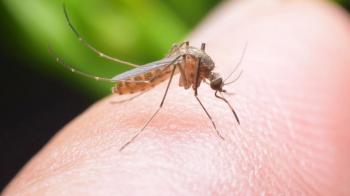 Π.Ε. Ημαθίας : Μέτρα προστασίας κατά των κουνουπιών