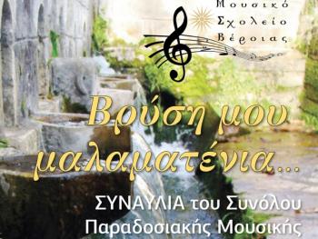 Πρόσκληση του Μουσικού Σχολείου Βέροιας σε συναυλία του Συνόλου Παραδοσιακής Μουσικής