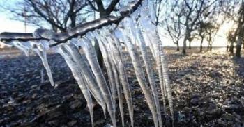 Προθεσμία υποβολής δηλώσεων ζημιάς από παγετό της 17-03-2020 σε οπωροφόρα δέντρα της Τοπικής Κοινότητας Βέροιας