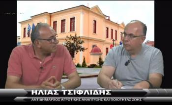 Ηλίας Τσιφλίδης σε www.imerisia-ver.gr : «Το ροδάκινο είναι ο χρυσός της Ημαθίας»