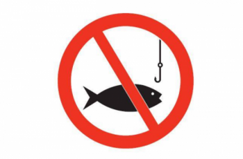Σύσκεψη στο Δήμο Νάουσας για την απαγόρευση της αλιείας πέστροφας