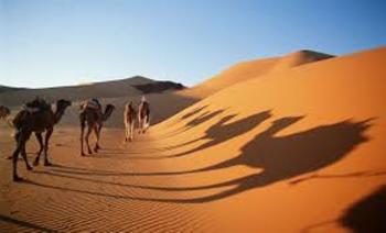 Το κράτος στερεύει από άμμο την έρημο Σαχάρα!