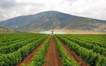 Συμφωνία των Πρεσπών: Παρατηρητήριο για την προστασία του Μακεδονικού Οίνου