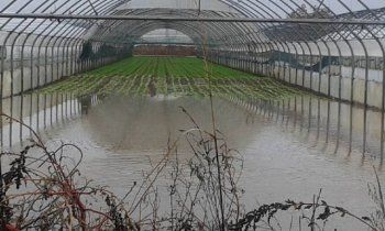 Ανακοίνωση για τις ζημιές από τις βροχοπτώσεις στο Νομό Ημαθίας από την Τ.Ε. Ημαθίας του ΚΚΕ