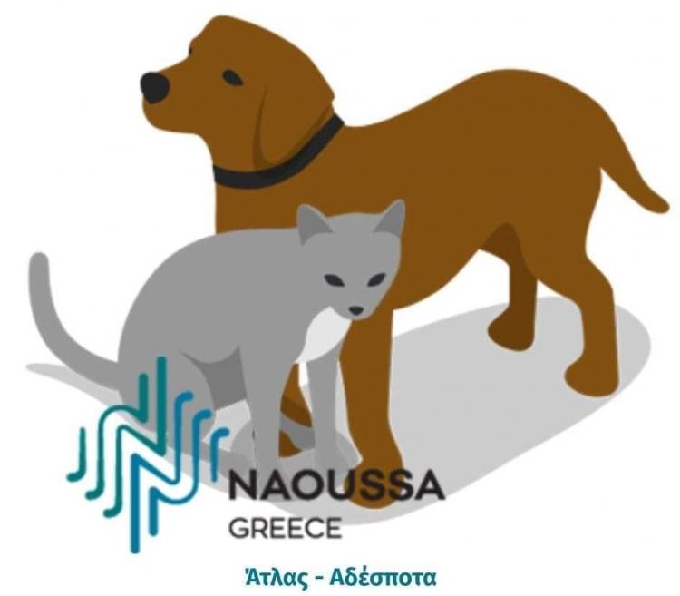 Δ.Νάουσας : Εγκρίθηκε από το πρόγραμμα ΦΙΛΟΔΗΜΟΣ η κατασκευή καταφυγίου για τη φιλοξενία αδέσποτων ζώων συντροφιάς και η προμήθεια εξοπλισμού καταφυγίου και κτηνιατρείου