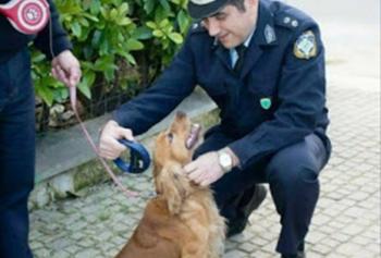 Ο Δήμος Νάουσας με τη συνδρομή της Αστυνομίας ξεκινά το επόμενο διάστημα ελέγχους για την εφαρμογή της νομοθεσίας που αφορά δεσποζόμενα ζώα συντροφιάς