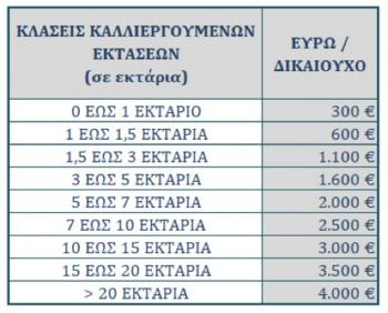 Συνεχίζεται απρόσκοπτα η υποβολή αιτημάτων για την ενίσχυση ύψους 126 εκ. ευρώ στους ελαιοπαραγωγούς της χώρας μας έπειτα από παρέμβαση του ΥπΑΑΤ