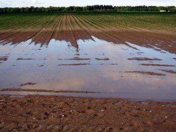 Αναγγελία ζημιάς από πλημμύρα σε καλλιέργειες στην ευρύτερη περιοχή του Δήμου Βέροιας