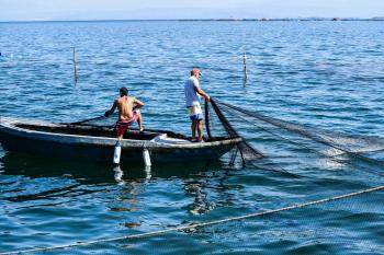 Πάνω από 19 εκατομμύρια ευρώ στους Έλληνες αλιείς που επλήγησαν από τον κορωνοϊό 