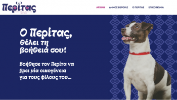 Ανέβηκε η νέα ιστοσελίδα του Δήμου Βέροιας για την υιοθεσία αδέσποτων σκύλων