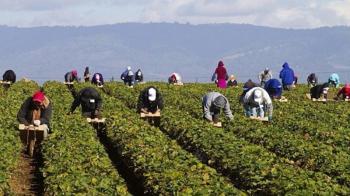 Νομοθετική πρωτοβουλία, για να δοθεί μόνιμη λύση στη μετάκληση εργατών γης από τρίτες χώρες