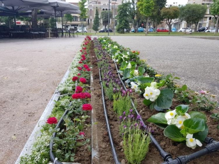 Φυτεύσεις καλλωπιστικών λουλουδιών και τοποθετήσεις κάδων στην Πλατεία Ελιάς