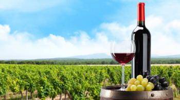 9 εκατ. ευρώ για το Πρόγραμμα Απόσταξης Κρίσης οίνου για το 2021 με απόφαση Λιβανού- Αραμπατζή
