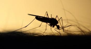 Μέτρα προφύλαξης από τα κουνούπια και τον ιό του Δυτικού Νείλου - Ενημέρωση από το Δήμο Αλεξάνδρειας και τον ΕΟΔΥ