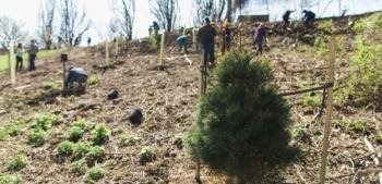ΚΕΔΕ: Ανοίγει ειδικό λογαριασμό με 500.000 ευρώ για αναδασώσεις- Τι είναι το πρόγραμμα «Δες το Δάσος»