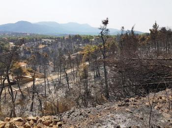 Κάηκαν 1.000.000 στρέμματα στην Ελλάδα σε δύο εβδομάδες