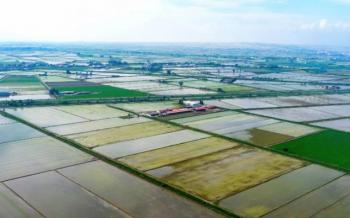 Το One Stop Liaison Office της Π.Κ.Μ. υποστηρίζει τον ψηφιακό μετασχηματισμό της αλυσίδας αξίας ρυζιού στην περιοχή 