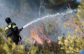 Επέμβαση της Πυροσβεστικής σε μικρής έκτασης πυρκαγιά την Παρασκευή στο Άλσος Παπάγου