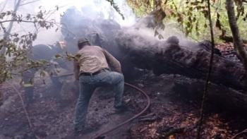 Έσβησε άμεσα η πυρκαγιά στον οικισμό της Μεταμόρφωσης της Νάουσας