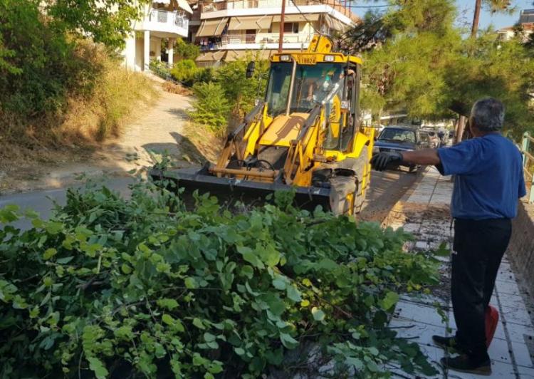 Δήμος Βέροιας : Καθαρισμός αυλών και αποψίλωση δέντρων για τη νέα σχολική χρονιά