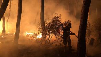 Σε ΦΕΚ η Κ.Υ.Α. σχετικά με την επιχορήγηση αγροτικών εκμεταλλεύσεων για την αποζημίωση των πληγέντων από τις πυρκαγιές της περιόδου Μαΐου-Αυγούστου 2021