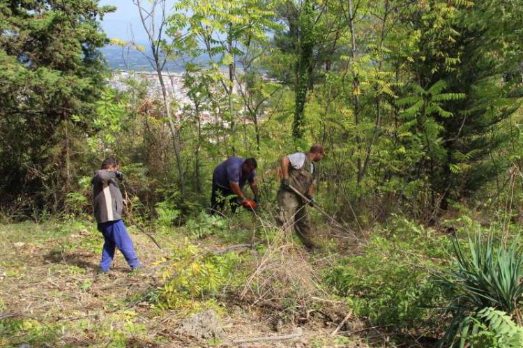 Δήμος Βέροιας : Ετήσιος καθαρισμός και καλλιέργεια δημοτικών αλσών για πυροπροστασία