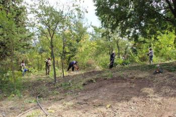 Δήμος Βέροιας : Ετήσιος καθαρισμός και καλλιέργεια δημοτικών αλσών για πυροπροστασία