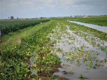 Π. Γκυρίνης : «Άμεση αποστολή κλιμακίου ΕΛΓΑ στο Δ. Αλεξάνδρειας για την εκτίμηση των ζημιών από τις συνεχόμενες βροχοπτώσεις»