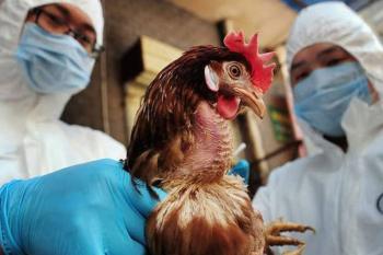 Επείγουσα ενημέρωση της Διεύθυνσης Κτηνιατρικής Περιφέρειας Κεντρικής Μακεδονίας για τη γρίπη των πτηνών
