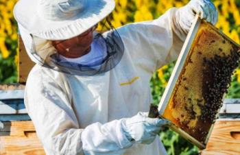 Υποβολή αιτήσεων στα πλαίσια υλοποίησης του προγράμματος για τη βελτίωση των συνθηκών παραγωγής και εμπορίας των προϊόντων της μελισσοκομίας για το έτος 2022