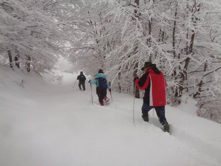 ΒΕΡΜΙΟ, Κορυφή Ιμπιλί 1750 μ., Πορεία στο χιόνι, Κυριακή 6 Μαρτίου 2022, με τους Ορειβάτες Βέροιας