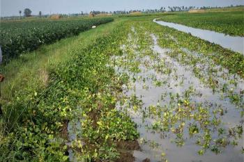Ανακοινώθηκαν τα πορίσματα εκτίμησης ζημιών από την Βροχόπτωση της 14ης Οκτωβρίου 2021 στις καλλιέργειες της τ.κ. Βρυσακίου