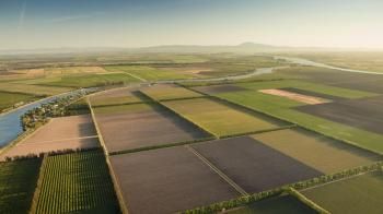 ΟΠΕΚΕΠΕ: Μίσθωση αγροτεμαχίων για την καλλιεργητική περίοδο 2017-2018 (ΕΑΕ 2018)