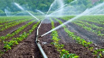 Ενισχύσεις 200 εκατ. ευρώ για μείωση της ρύπανσης νερού από γεωργική δραστηριότητα, ξεκινούν οι αιτήσεις